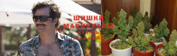 МДПВ Долгопрудный