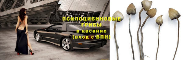 МДПВ Долгопрудный