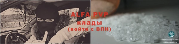 МДПВ Долгопрудный