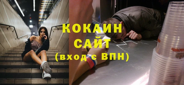 МДПВ Долгопрудный