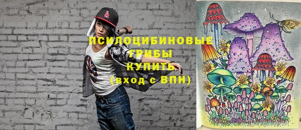 МДПВ Долгопрудный