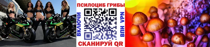 mega рабочий сайт Жирновск Псилоцибиновые грибы прущие грибы